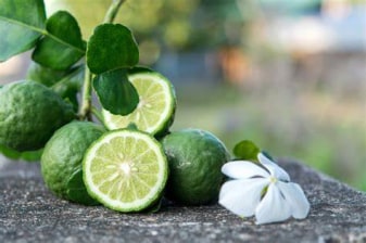 7-Hour Reggio Calabria Tour with Riace Bronzes and Bergamot Tasting