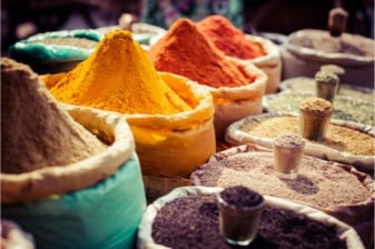 14-Day India and Nepal Tour from Delhi to Kathmandu with Varanasi