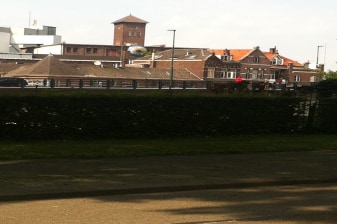 3-Hour Food Tour of Hertogenbosch with a Walking Dinner