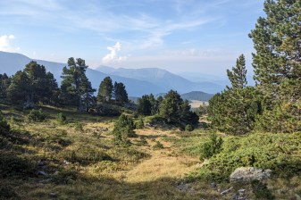 Half-Day Birdwatching Walk in Chamrousse with Alpine Meadow Views