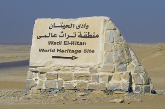 15-Hour Wadi Al Hitan Tour from Cairo with Whale Fossils Museum
