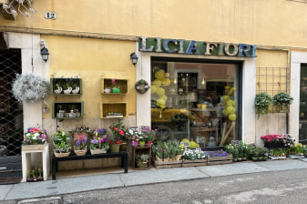 2-Hour Verona Walking Tour with Arena Entry and Juliet Landmarks