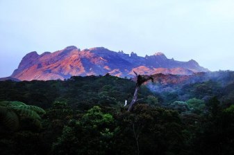 10-Hour Kinabalu Park and Poring Hot Springs Tour with Canopy Walk