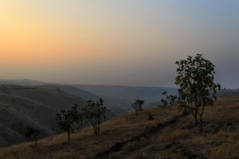 3-Day Pune Valley of Flowers Tour with Kas Plateau Visit