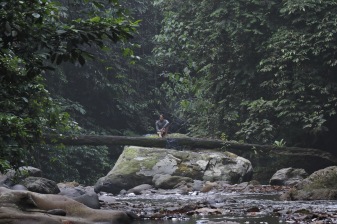 1-Day Gunung Leuser National Park Adventure with Jungle Survival