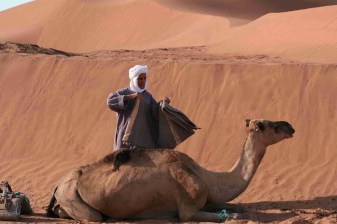2-Day Zagora Desert Tour from Marrakech with Aït Benhaddou