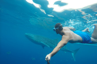 10-Hour Oslob Snorkeling Tour with Whale Sharks and Tumalog Falls
