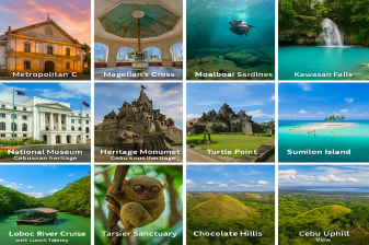5-Day Cebu and Bohol Adventure Tour with Moalboal and Oslob