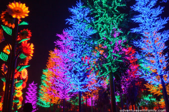 4-Hour I-City Theme Park Trip from Kuala Lumpur with LED Nightscape