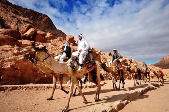 11-Hour Dahab Snorkelling Tour with Blue Hole and Camel Ride