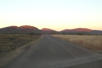 1-Day Pilanesberg Safari from Johannesburg with Big 5 Game Drives