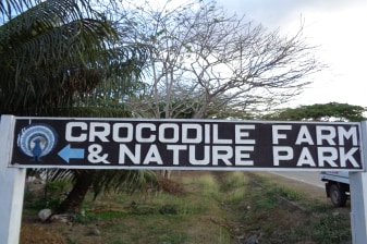 4-Hour Puerto Princesa City Tour with Baker's Hill and Mitra Ranch