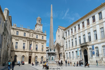 8-Hour Arles and Camargue Tour with Van Gogh and Flamingos