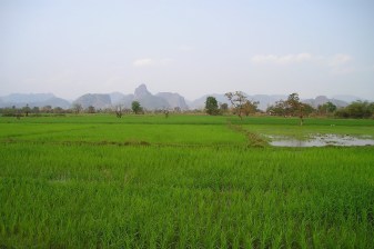 4-Hour Rice Plantation Tour in Luang Prabang with Farm Activities