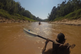 3-Day Tambopata National Reserve Tour with Kayaking and Night Wildlife
