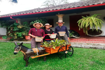 7-Hour Coffee Tour in Fusagasugá with Hacienda Coloma Experience