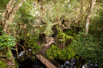 1-Day Koh Ker and Beng Mealea Temple Tour from Siem Reap