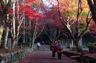 Full-Day KOHOKU Shiga Nature Tour with Temples and Seasonal Scenery