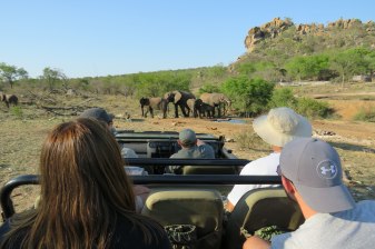 5-Day Kruger National Park Safari with Panorama Route from Johannesburg