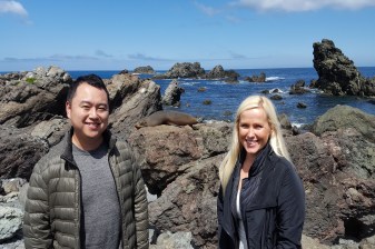 10-Hour Wellington Nature and Wine Tour with Fur Seals and Tastings