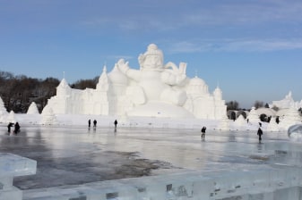 8-Hour Harbin Winter Tour with Sun Island and Siberian Tiger Park