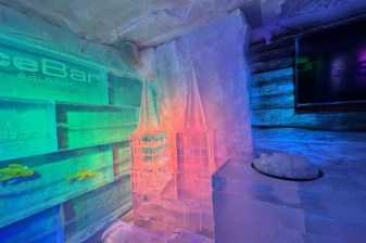 1-Hour IceBar Cologne Experience with 3 Drinks and Ice Sculptures
