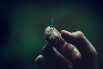 1-Day Fireflies Sighting Tour in Kuala Selangor with Bukit Melawati