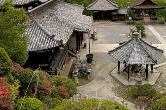 4-Hour Kamakura Walking Tour with Great Buddha and Komachi-dori