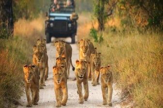 8-Day South-Eastern Africa Hidden Gems Tour with Kruger and Maputo