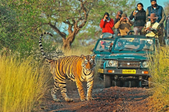 8-Day Golden Triangle Tour with Ranthambore Safari and Taj Mahal