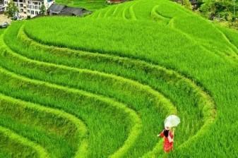 8-Hour Private Longjie Terraced Fields Tour with Cable Car from Guilin