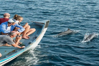 4-Hour Maldives Boat Tour from Malé with Snorkeling and Dolphins