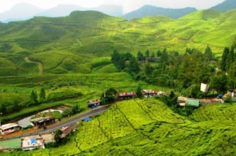 10-Hour Taman Safari and Puncak Tour with Jaksa Waterfalls