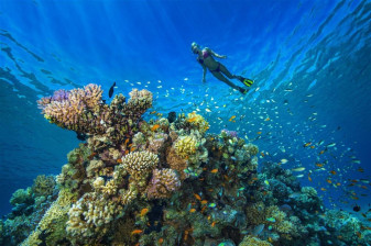 8-Hour Ras Mohamed Boat Trip from Sharm El Sheikh with White Island