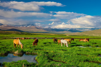 12-Day Cultural and Scenic Pakistan Tour from Islamabad to Lahore