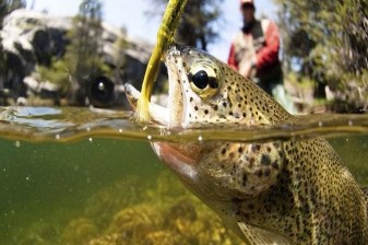 4-Hour Arctic Fishing Tour in Rovaniemi with Campfire BBQ