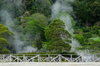 5-Hour Furnas Volcano Tour with Cozido Dinner and Dona Beija
