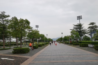 2-Hour Shenzhen Bay Beach Park Tour with Mangrove Forest Park