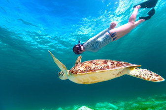 8-Hour Marsa Mubarak Snorkelling Tour with Turtles and Dugongs