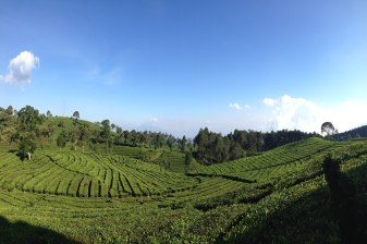 Full-Day Bandung City Tour with Tangkuban Perahu and Ciater Hot Spring