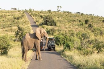 7-Day KwaZulu-Natal Wildlife Tour with Drakensberg and Whale Watching