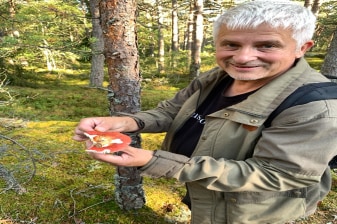 Full-Day Nuuksio National Forest Canoeing Tour from Helsinki