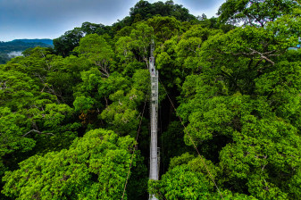 7-Hour Ulu Temburong National Park Canopy Adventure with Waterfall