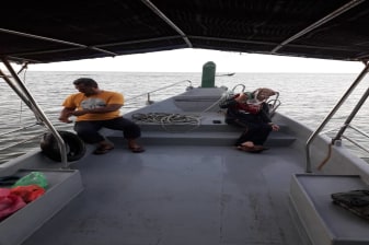 5-Hour Penang National Park Tour with Monkey Beach and Turtle Beach