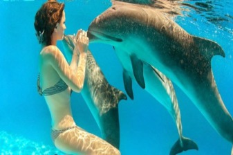 7-Day Marsa Alam Adventure Tour with Desert Safari and Snorkelling