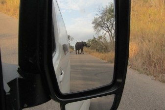 4-Day Kruger National Park Safari with Panorama Route and Glamping