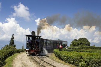 5-Day Gangtok and Darjeeling Tour with Tiger Hill Sunrise