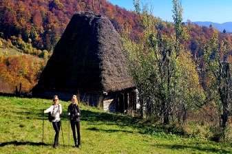 1-Day Hiking Tour in the Apuseni Mountains to Scarita Peak