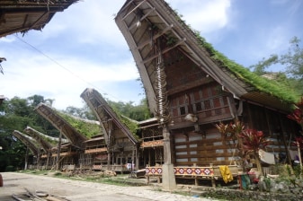 3-Day Tana Toraja Cultural Tour from Makassar with Burial Sites
