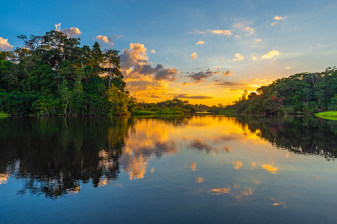 2-Day Amazon Yarapa River Wildlife Tour with Pink Dolphins